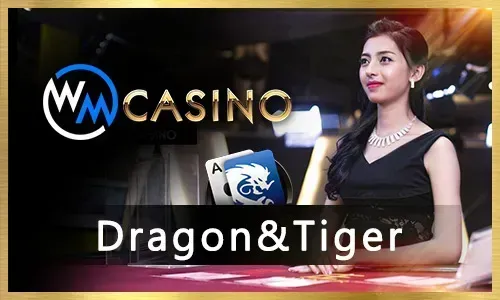 Bingo Community Playing